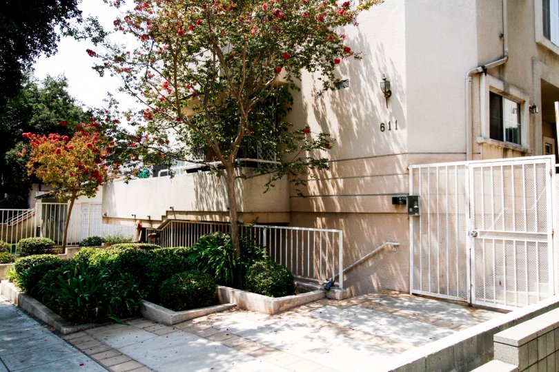 Olive Townhomes Burbank CA